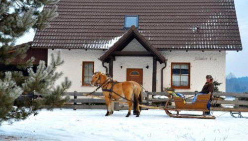 Dom w sercu Kaszub - Foto 1