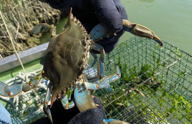 Agriturismo Tenuta Castel Venezze - Foto 59