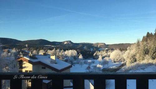 Confortable Studio de montagne avec loggia et jolie vue Les Rousses "Le Flocon des Cimes" Station de ski familiale Jura 39 - Foto 2