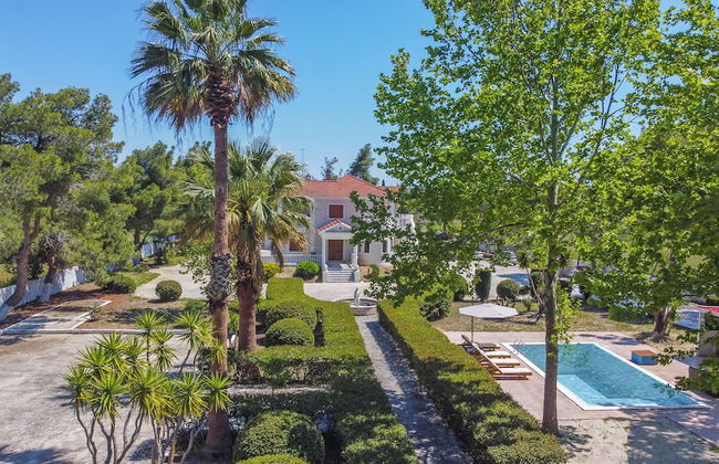 Adriana Di Levante - Foto 46