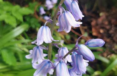 TheWeeHouseOnTheHill - Foto 28