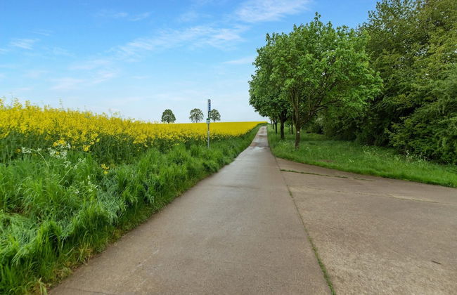 La Huche de Raphaelle - Photo 62