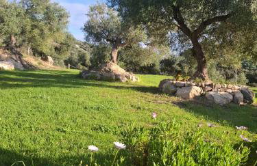 Hacienda Molino Nuevo - Foto 34