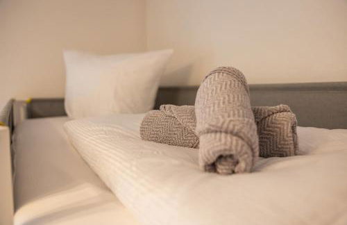 Fe Wo Europa Park - Rulantica-Straßburg - Colmar - Klimaanlage- Wallbox - Foto 49