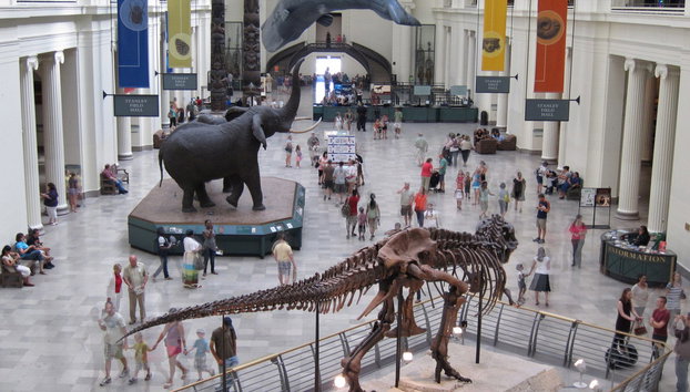 Go City - Chicago All-Inclusive Pass - Hasta 5 días de acceso a más de 35 atracciones - Foto 3