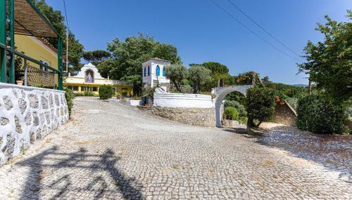 Quinta dos Canais - Foto 5