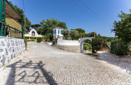 Quinta dos Canais - Foto 5