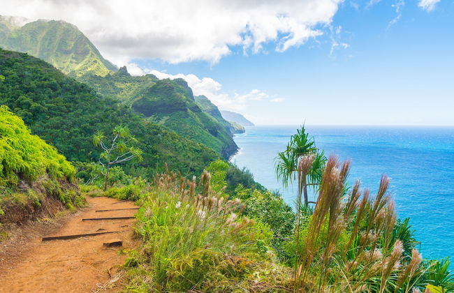 Paniolo 210a - Foto 31