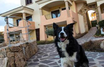 Bados Mare - Foto 42