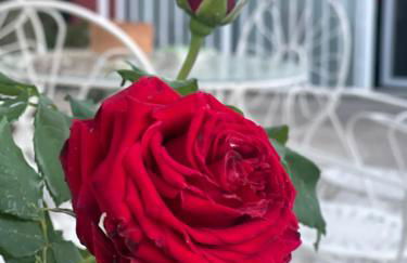 Casa Muriana - Foto 15