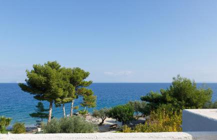 Into The Blue Villa - Photo 9