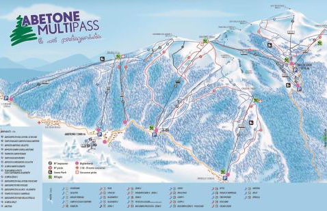 The Olive Grove in Tuscany - Foto 51