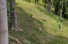 Casa em Chácara próximo ao Pico Paraná e Represa Capivari Toca do Tatu - Foto 8