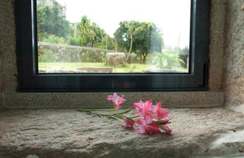 Eira dos Canastros - Foto 46