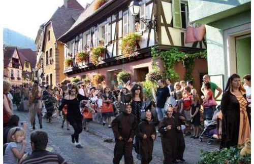 Gite Les Hirondelles 6 pers Ribeauvillé - Foto 20