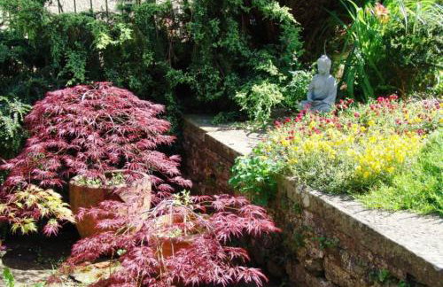 The Little Acorn - Photo 17