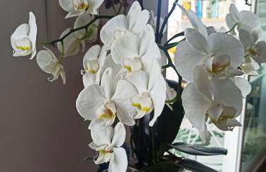 Ático acogedor en casco antiguo - Foto 15