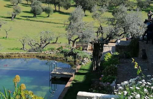 Casa Do Alto Da Eira - Foto 22