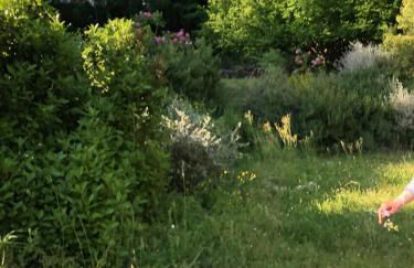 Tuscia Castle Apartments - Foto 32