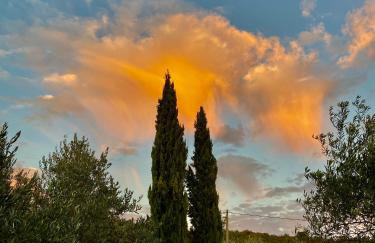 Lovrini Dvori - Photo 24