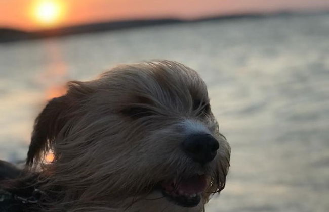 Veranda Mobile Home - Terra Park Spiritos - Foto 25