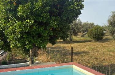 Monte do Vale - Foto 10