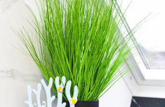 Haus Strandkorb - Poolnähe - Garten - Tischtennis - Foto 74