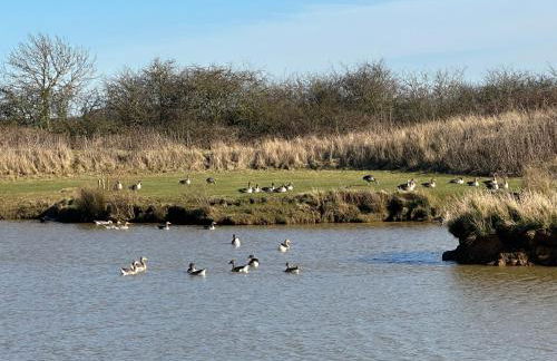 32 Cherry-Lodge-Tranquil-Hot Tub-Fishing Lake-7m to beach - Foto 26