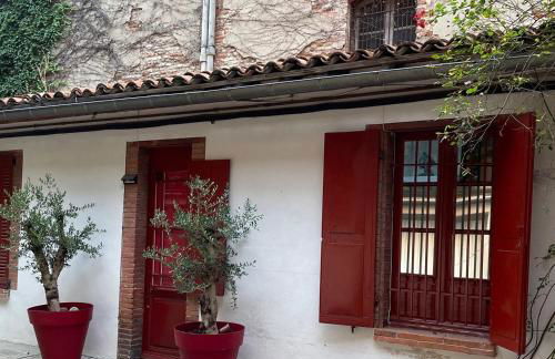 Petite chartreuse calme en plein coeur de Toulouse - Foto 11