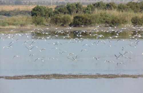Porta dei Mari - Foto 57