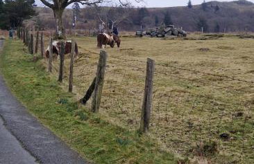 Misty Mountain Log Cabin - Trawsfynydd - Foto 22