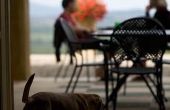 Tenuta il Sassone - Wine&Food - Foto 28