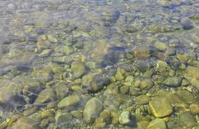 Casa do Apeadeiro - Foto 30