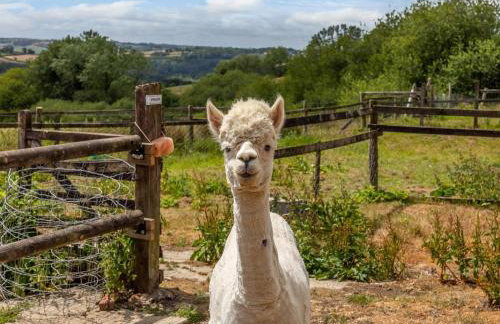 2 Bed in Umberleigh oc-78302 - Photo 10