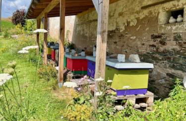 Ferienwohnung Scharfenberg - Foto 20