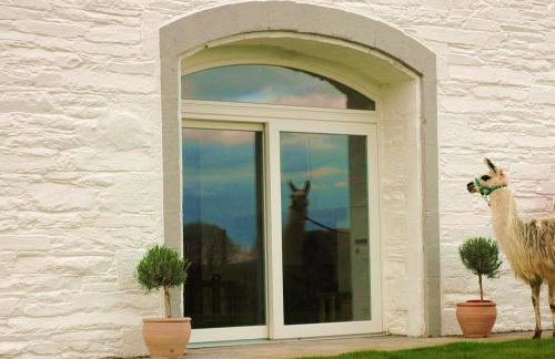 The Coach House at Durhamhill with llamas & games room mini cinema - Foto 52