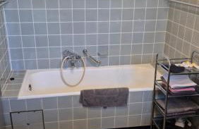 Pferdeblick - Foto 9