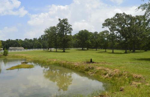 Gorgeous 10 Acre Modern Farmhouse & Private Pond - Photo 34