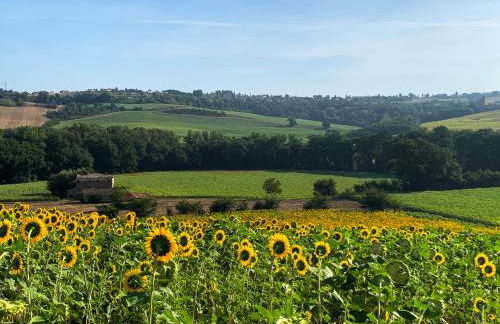 Todi Villa San Martino - Foto 60