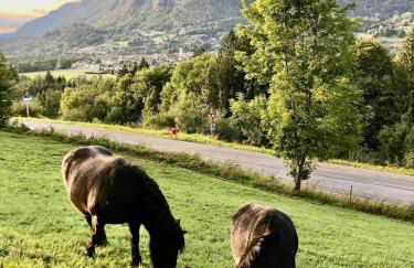 Studio in Morillon village, mountain view - Foto 6