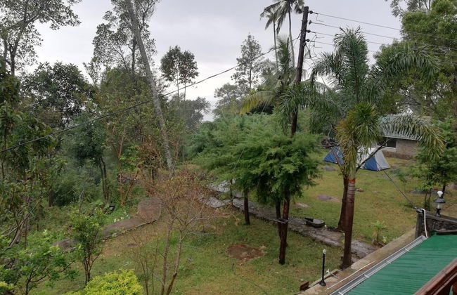 Lourdes Eco Bungalow - Photo 32