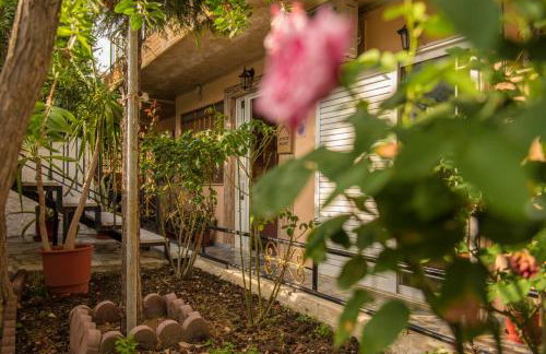 Golden Sun Rooms - Foto 12