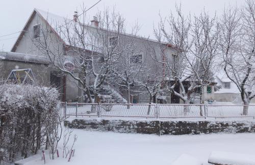 Apartman Purga - Foto 18