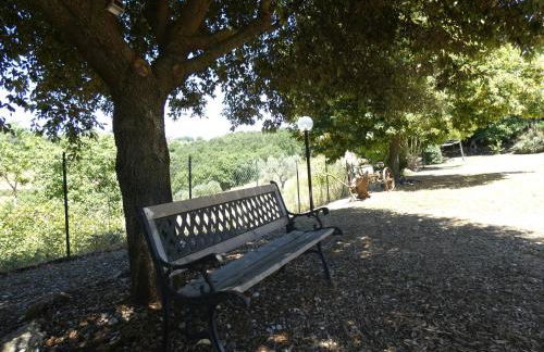 Scappo in Umbria, Collefiorito - Foto 41