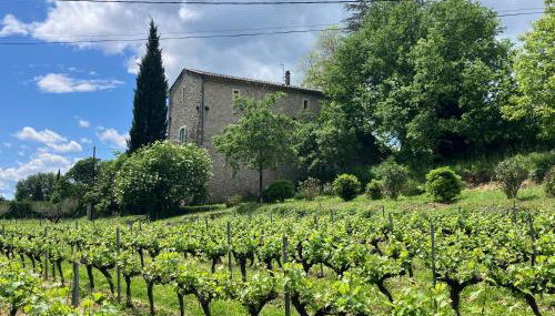 Les Cezennes - Foto 4