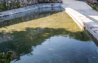 Quinta da Mata - Foto 30