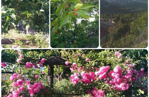 Casa do Outeiro - Foto 21