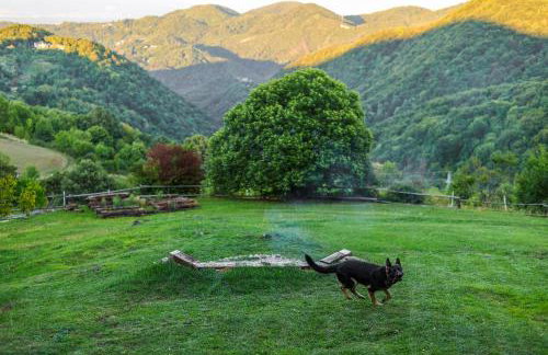 Wild Rose Samobor - Foto 58