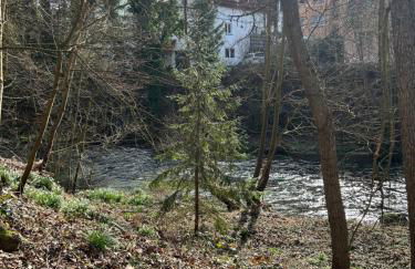 Ferienhaus im Schwarzwald - Foto 19