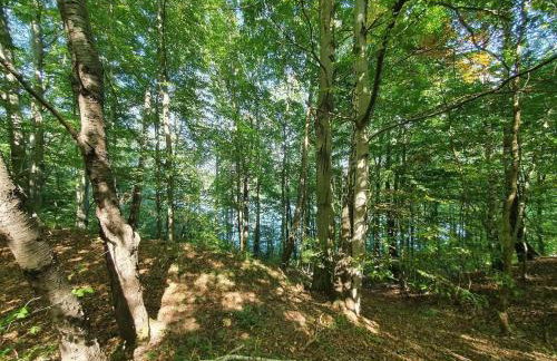 Hytte Narie 2 - Foto 6